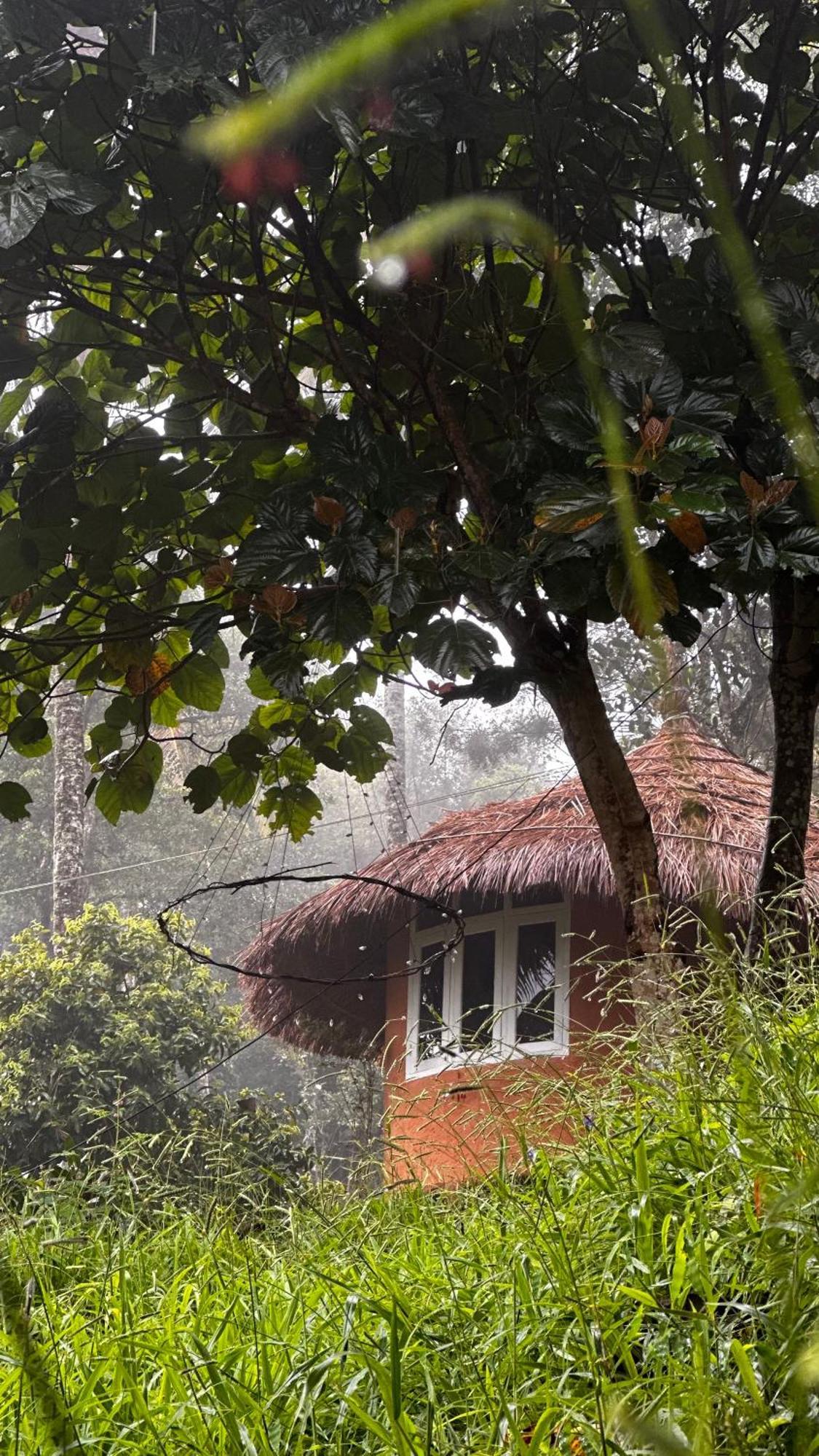 Punarjani Ayurvedic Resorts Ramakkalmedu 외부 사진