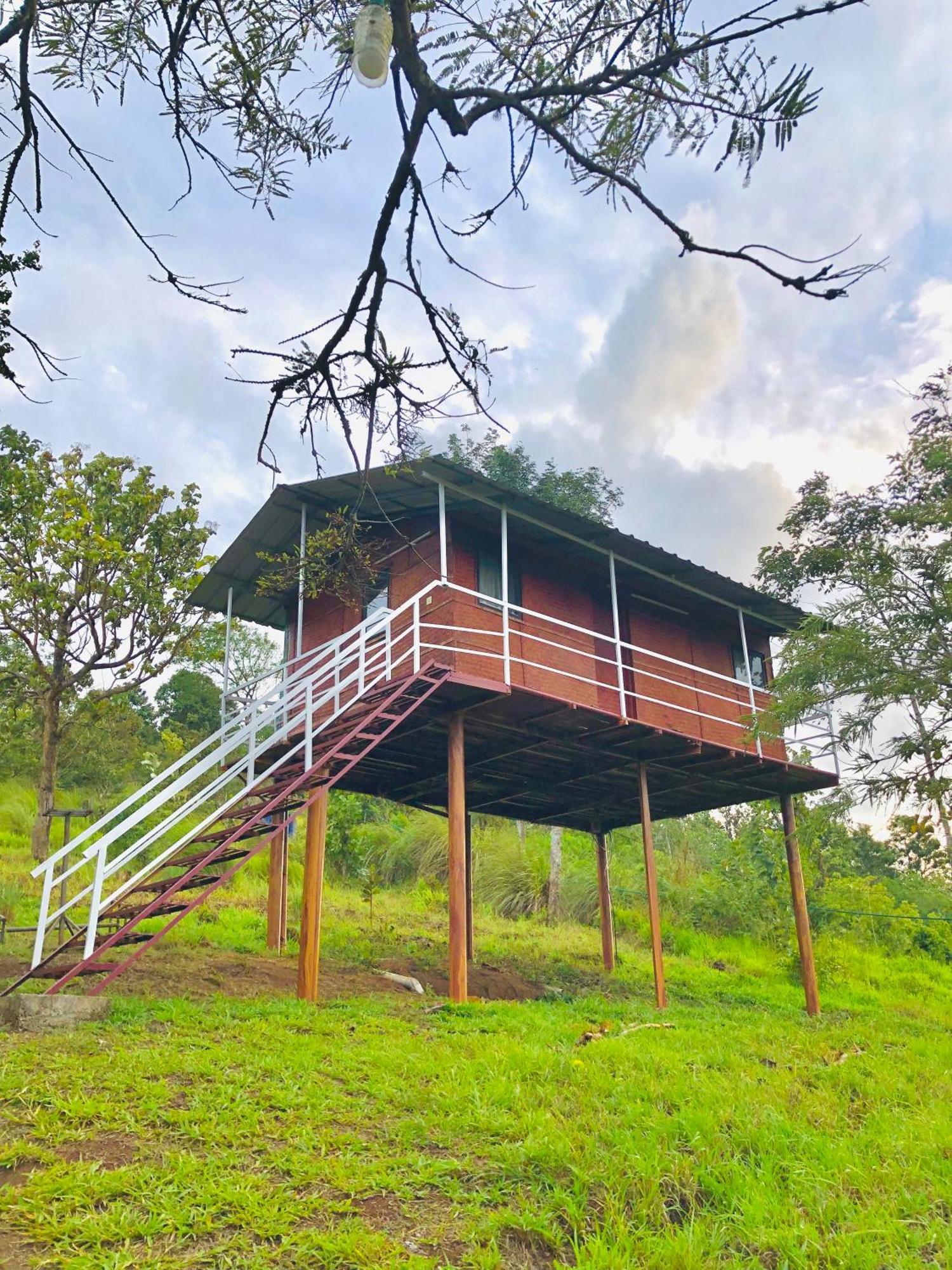 Punarjani Ayurvedic Resorts Ramakkalmedu 외부 사진